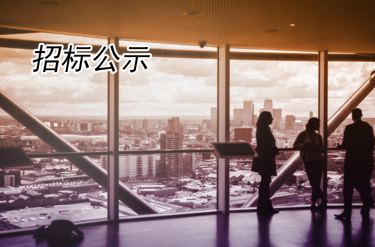 關(guān)于揚州全域旅游有限公司商業(yè)經(jīng)營部商鋪招租項目的流標說明